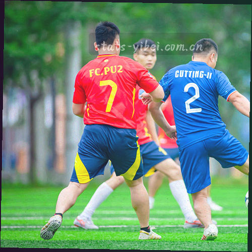 在手机上查看多联赛排名的交互界面图